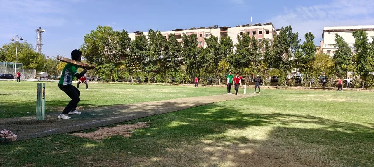 Cricket Fever